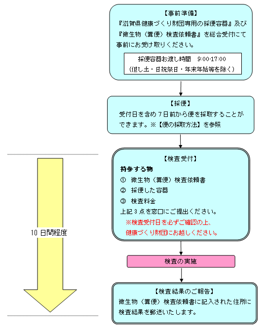 微生物検査 実施の流れ